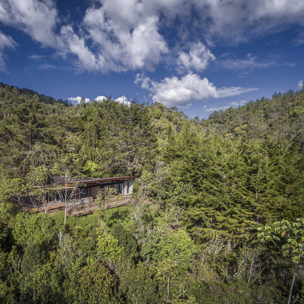 Natural Life Holding