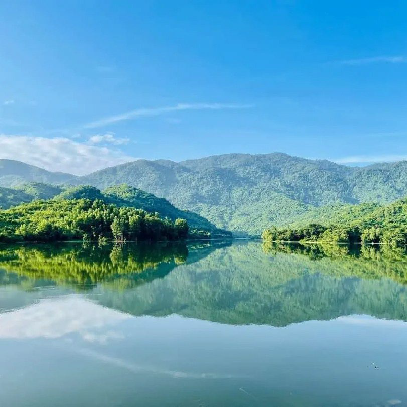 Lịch Trình Dự Án